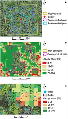 Drone-Based Assessment of Canopy Cover for Analyzing Tree Mortality in an Oil Palm Agroforest